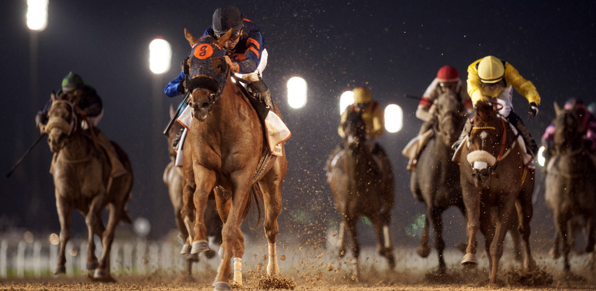 HORSE RACING | The Meydan Hotel - Dubai